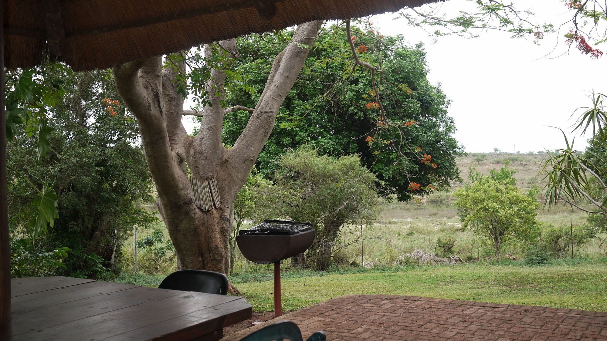 Elephant Walk Retreat โคมาติพอร์ต ภายนอก รูปภาพ