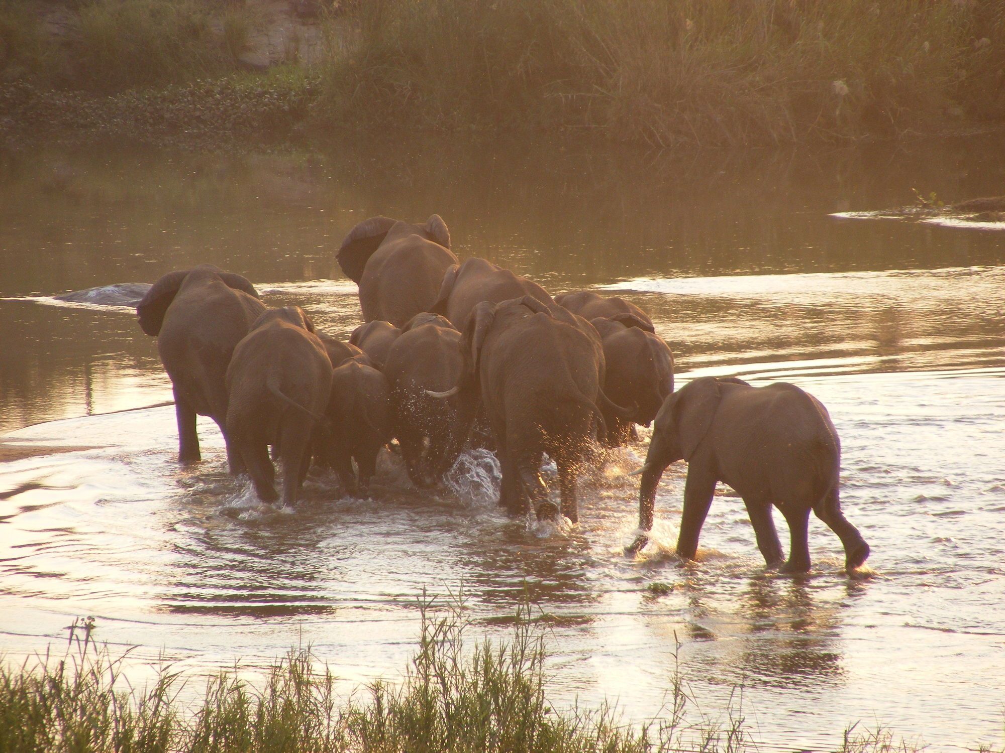 Elephant Walk Retreat โคมาติพอร์ต ภายนอก รูปภาพ